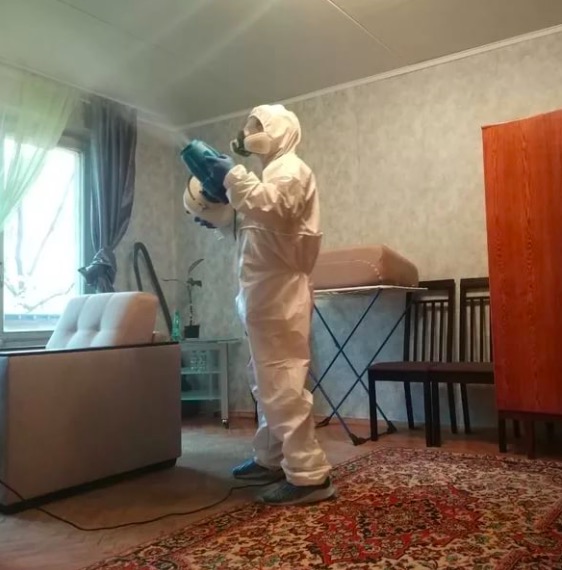 дезинсекция квартиры в Луховицах